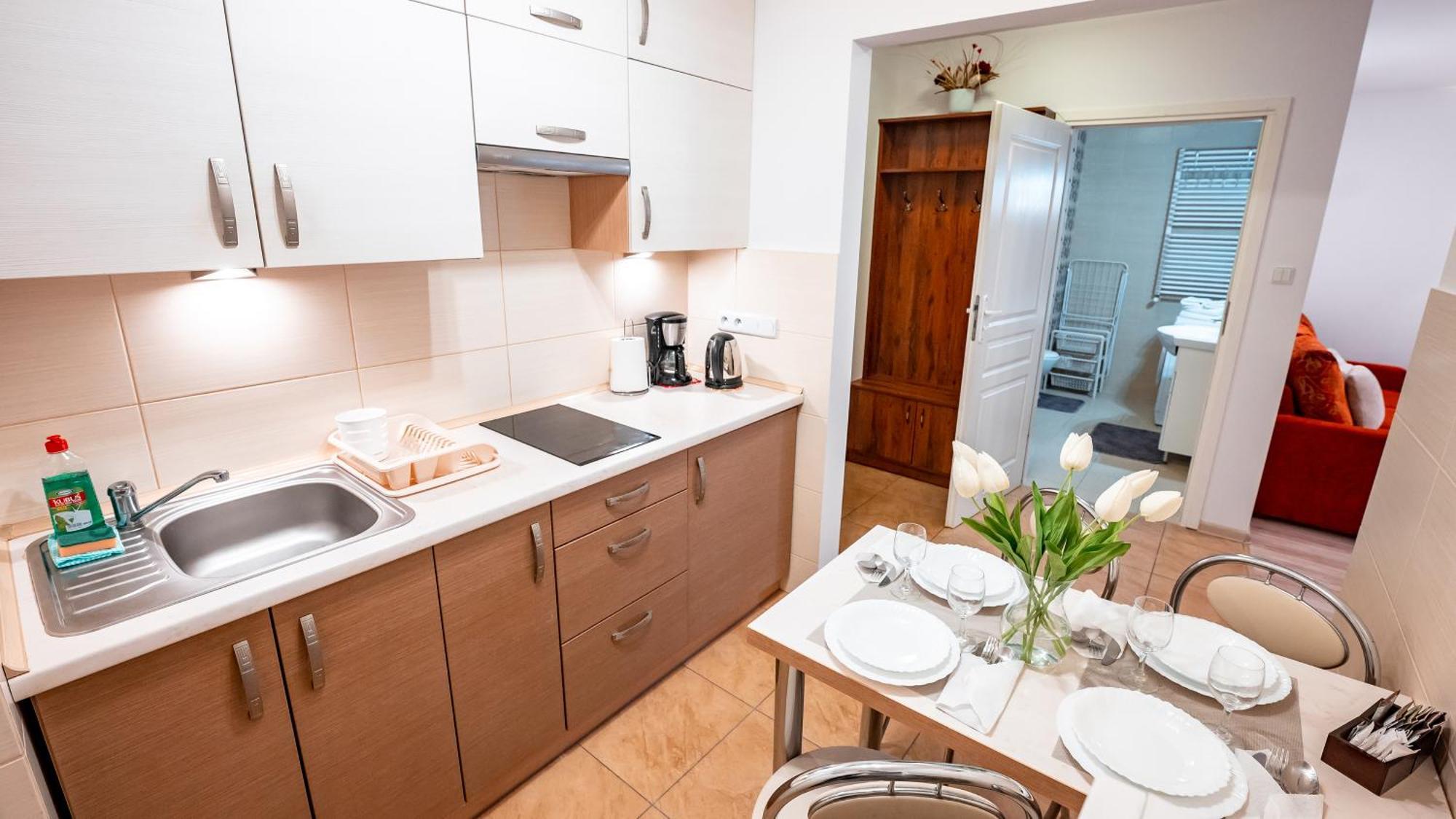 Apartamenty Sun & Snow Kraszewskiego Krynica Zdroj Εξωτερικό φωτογραφία